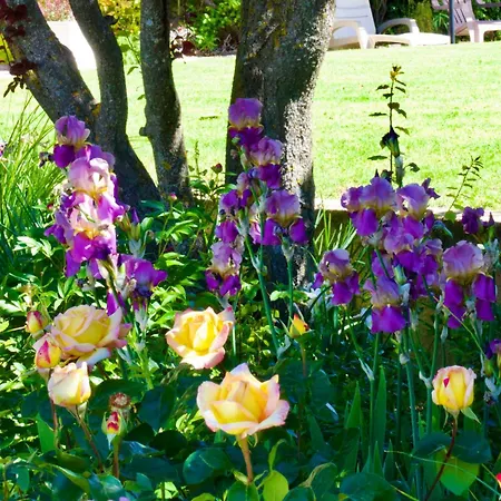 La Bastide Des Roses Couette-café 3*