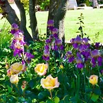 La Bastide Des Roses Frühstückspension 3*