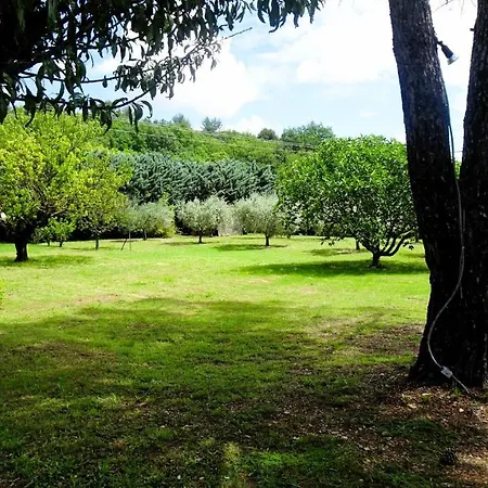 Frühstückspension La Bastide Des Roses Saint-Julien-d'Asse