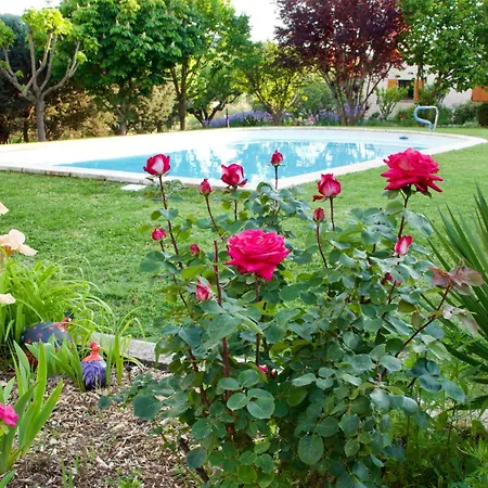 Frühstückspension La Bastide Des Roses