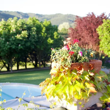 Frühstückspension La Bastide Des Roses Saint-Julien-d'Asse