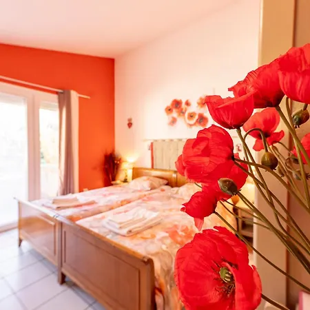 Alojamento de Acomodação e Pequeno-almoço La Bastide Des Roses Saint-Julien-d'Asse