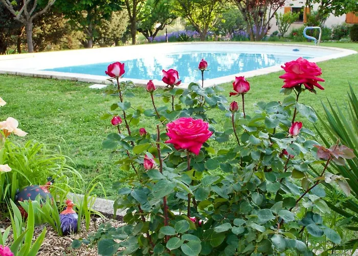 Bed & Breakfast La Bastide Des Roses