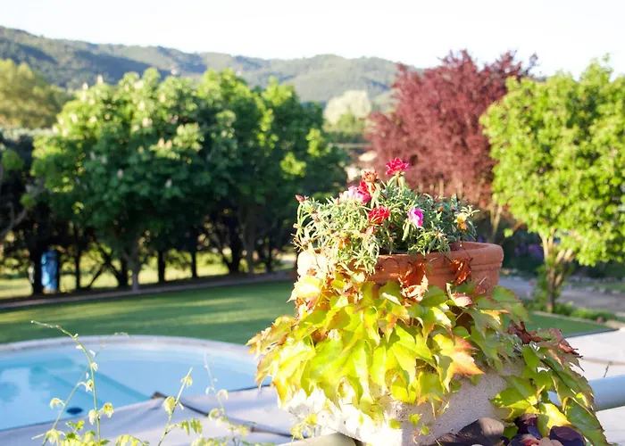 Bed & Breakfast La Bastide Des Roses Saint-Julien-d'Asse