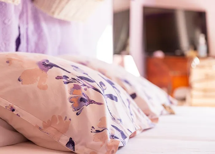 Bed & Breakfast La Bastide Des Roses