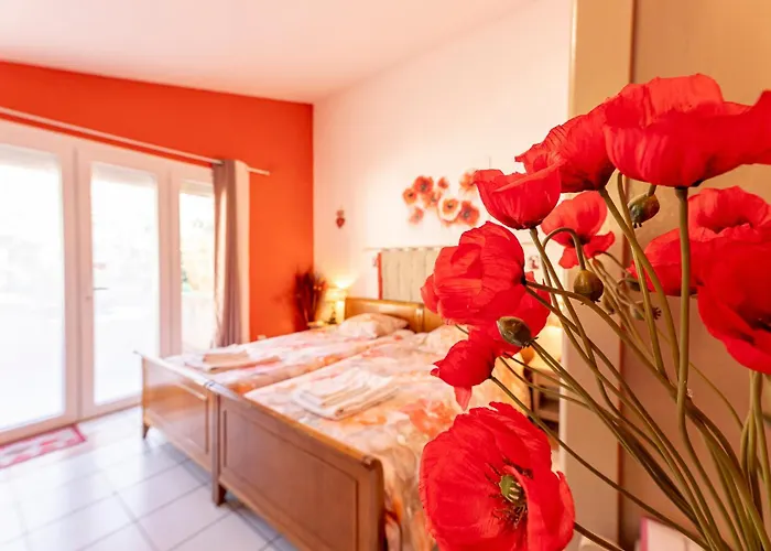 Bed & Breakfast La Bastide Des Roses Saint-Julien-d'Asse